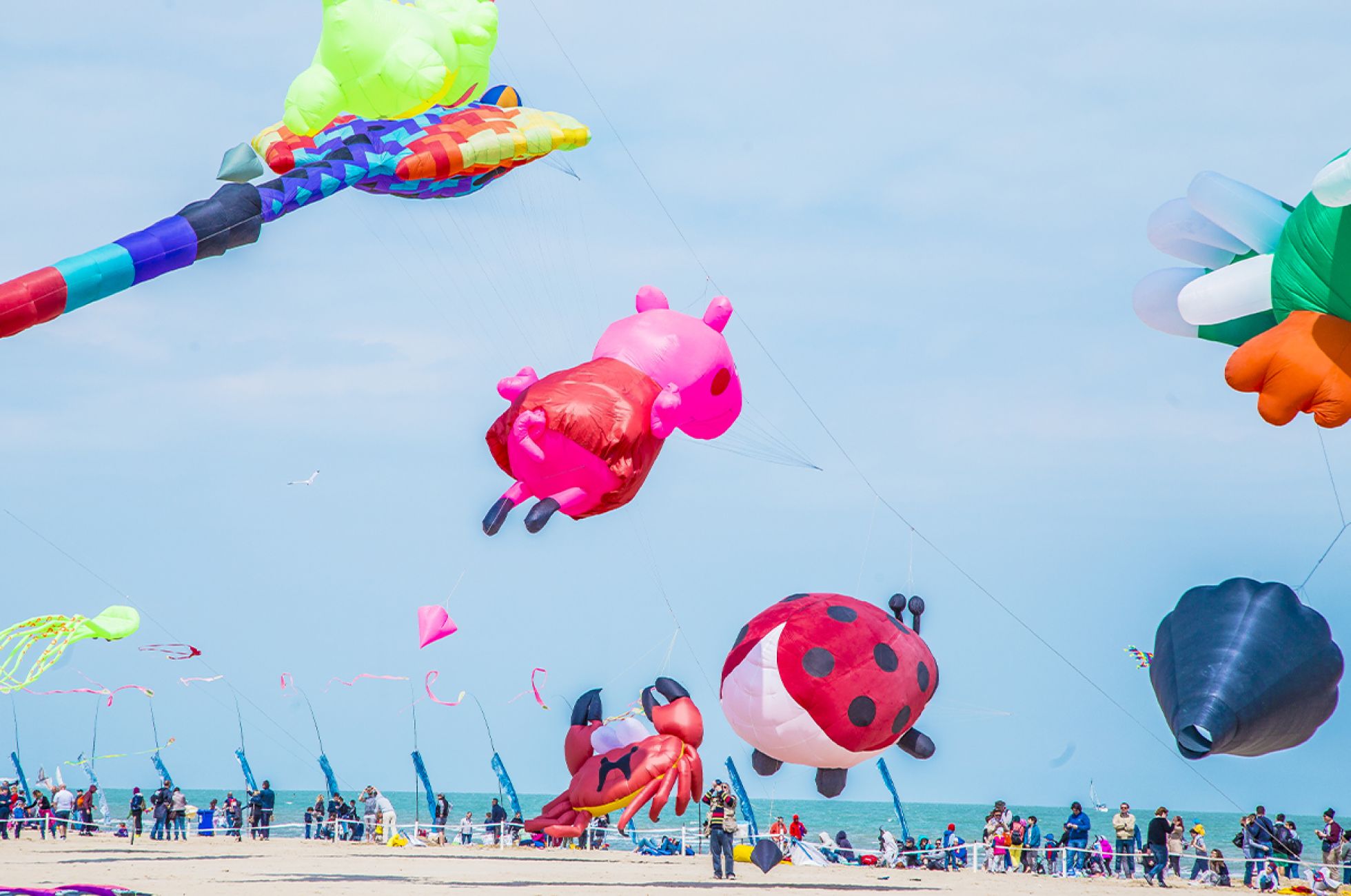 Festival degli Aquiloni